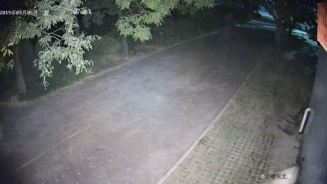晚上野外视频监控 晚上野外视频监控